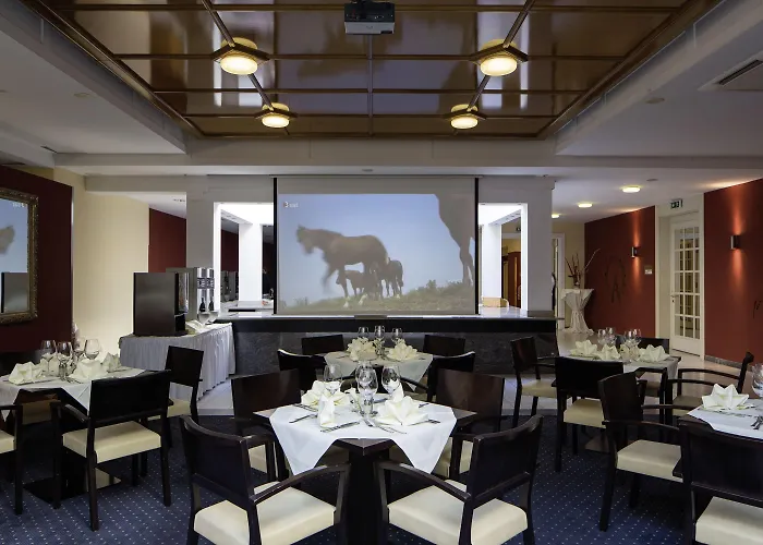 Austria Trend Ananas Hotel Vienna